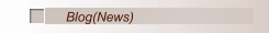 Blog(News)